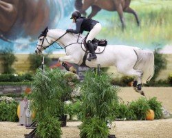 jumper Boudika Ideal Home (Belgium Sporthorse, 2007, from Castelino van de Helle)