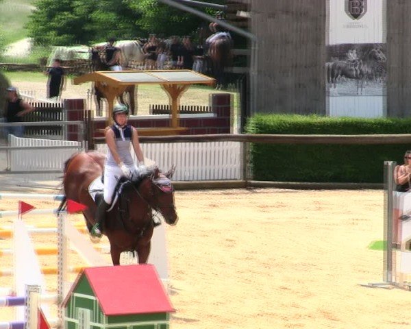 Reitturnier Berching/Opf. 2025
