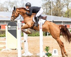 jumper Johannis (Holsteiner, 2020, from Jaloubet K VDL)