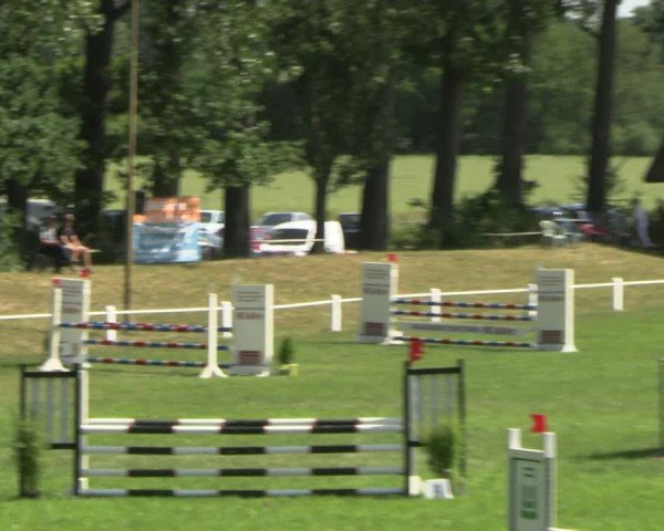 Reitturnier Sonnewalde 2025
