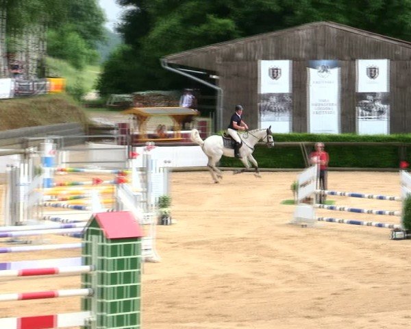 Reitturnier Berching/Opf. 2025