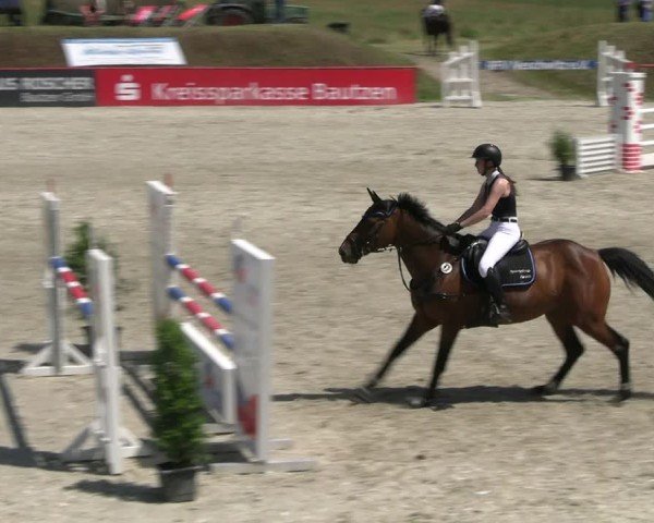 Reitturnier Holschdubrau 2025