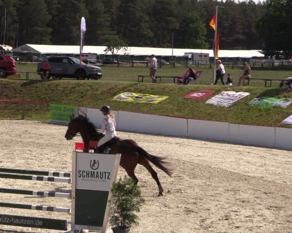 Reitturnier Holschdubrau 2025