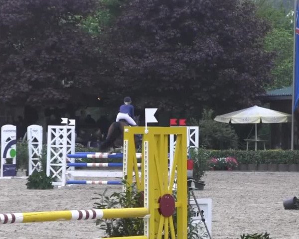 Wipperfürth-Kreuzberg 2014