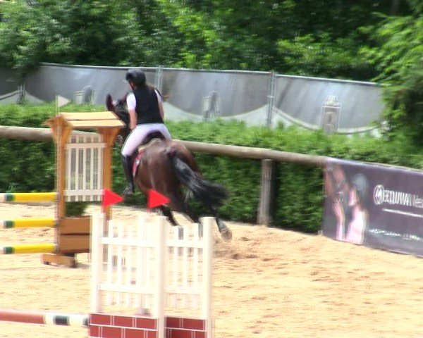 Reitturnier Berching/Opf. 2025