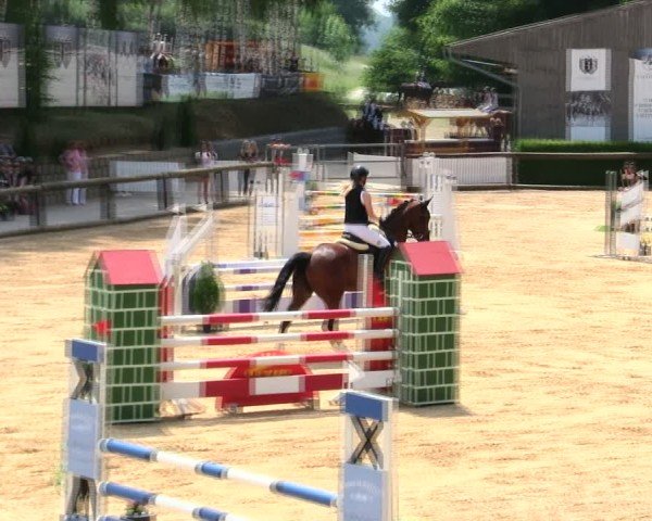 Reitturnier Berching/Opf. 2025