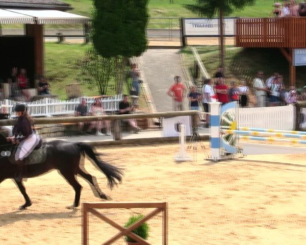 Reitturnier Berching/Opf. 2025