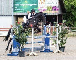 jumper Tamino 314 (Oldenburg show jumper, 2016, from Thagoras)