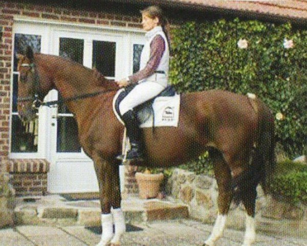 horse Ricci (Westphalian, 1992, from Rimini)