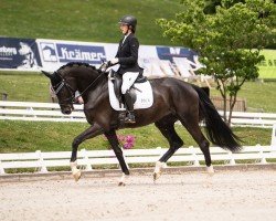 dressage horse Skadi S 2 (Hanoverian, 2021)