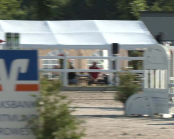 Reitturnier Dortmund-Somborn 2025