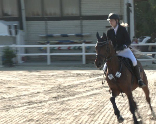 Reitturnier Dortmund-Somborn 2025