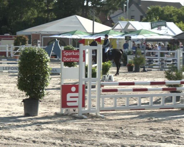 Reitturnier Dortmund-Somborn 2025