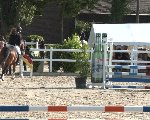 Reitturnier Dortmund-Somborn 2025