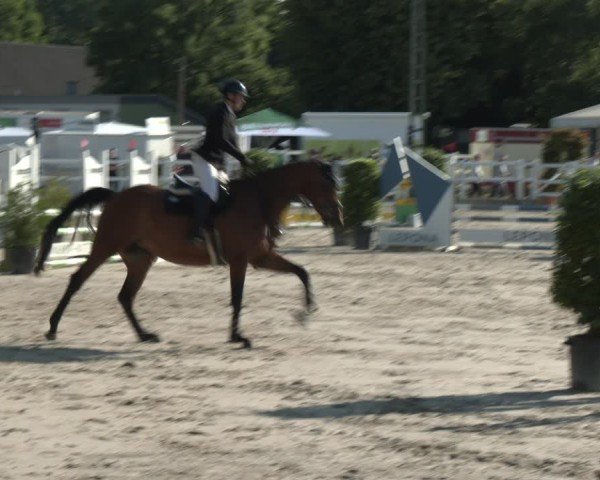 Reitturnier Dortmund-Somborn 2025