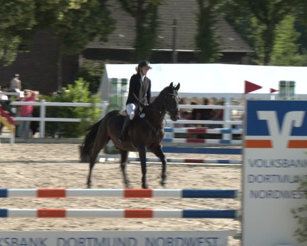 Reitturnier Dortmund-Somborn 2025