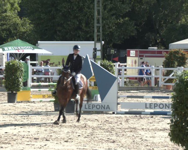 Reitturnier Dortmund-Somborn 2025