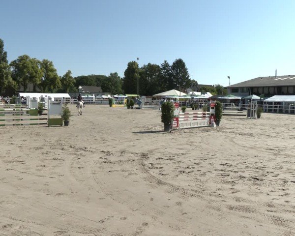 Reitturnier Dortmund-Somborn 2025