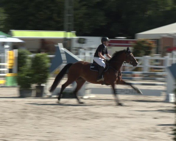 Reitturnier Dortmund-Somborn 2025