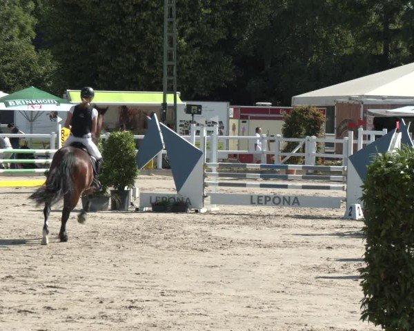 Reitturnier Dortmund-Somborn 2025
