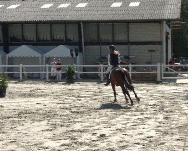 Reitturnier Dortmund-Somborn 2025