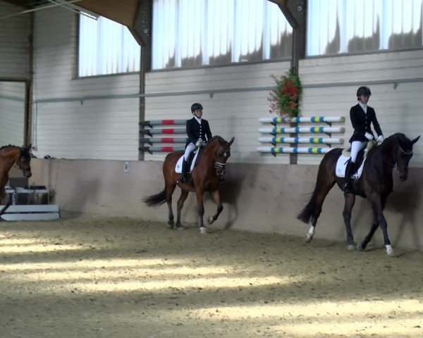 Reitturnier Dortmund-Somborn 2025