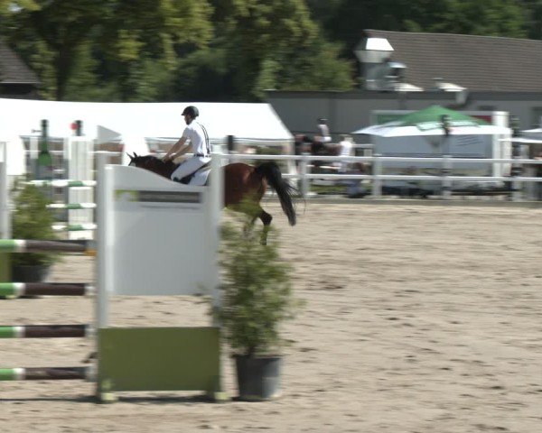 Reitturnier Dortmund-Somborn 2025