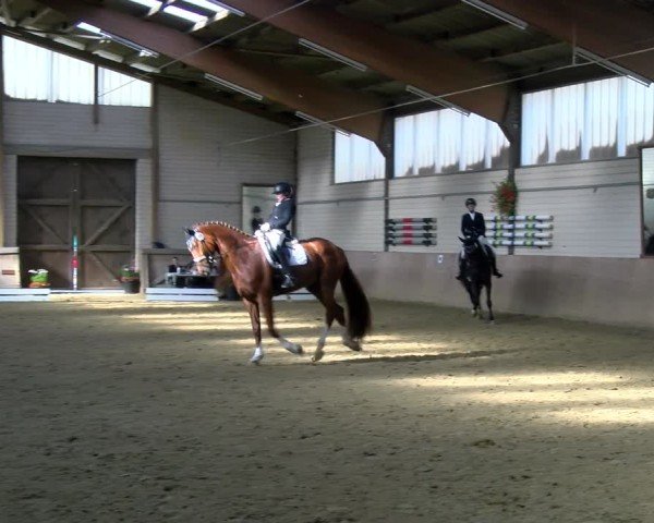 Reitturnier Dortmund-Somborn 2025