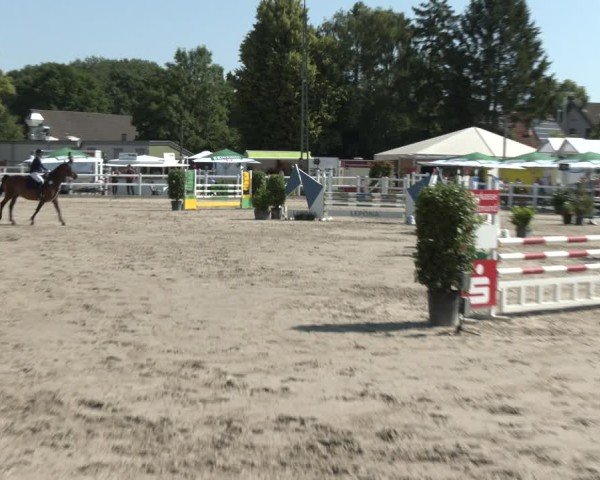 Reitturnier Dortmund-Somborn 2025