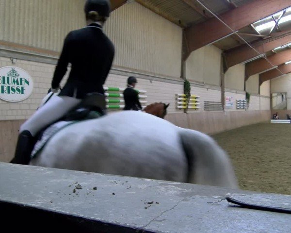 Reitturnier Dortmund-Somborn 2025