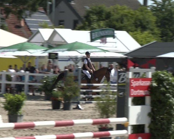 Reitturnier Dortmund-Somborn 2025
