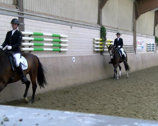Reitturnier Dortmund-Somborn 2025