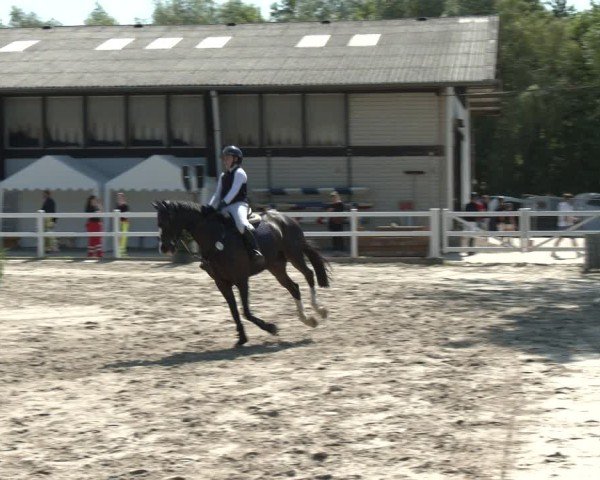 Reitturnier Dortmund-Somborn 2025