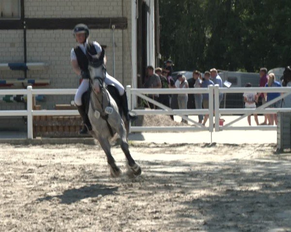 Reitturnier Dortmund-Somborn 2025