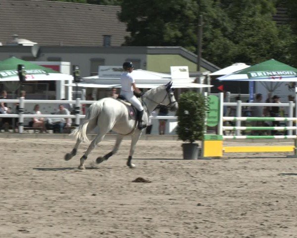 Reitturnier Dortmund-Somborn 2025