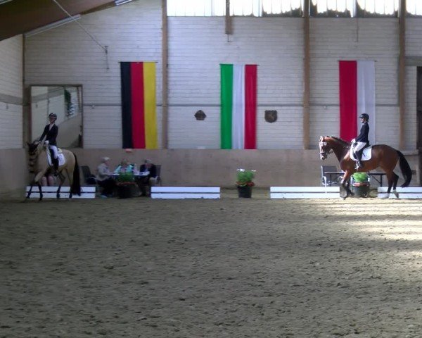 Reitturnier Dortmund-Somborn 2025