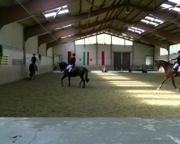 Reitturnier Dortmund-Somborn 2025