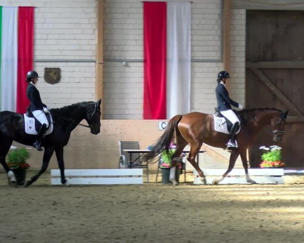 Reitturnier Dortmund-Somborn 2025