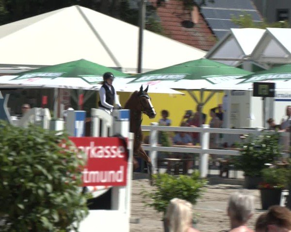 Reitturnier Dortmund-Somborn 2025