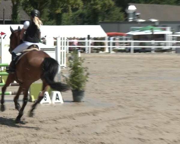 Reitturnier Dortmund-Somborn 2025