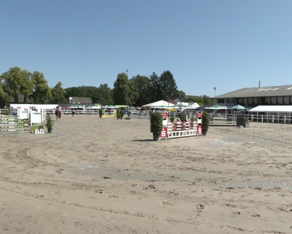 Reitturnier Dortmund-Somborn 2025