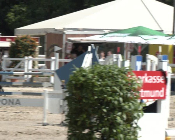 Reitturnier Dortmund-Somborn 2025