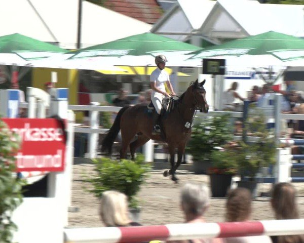 Reitturnier Dortmund-Somborn 2025