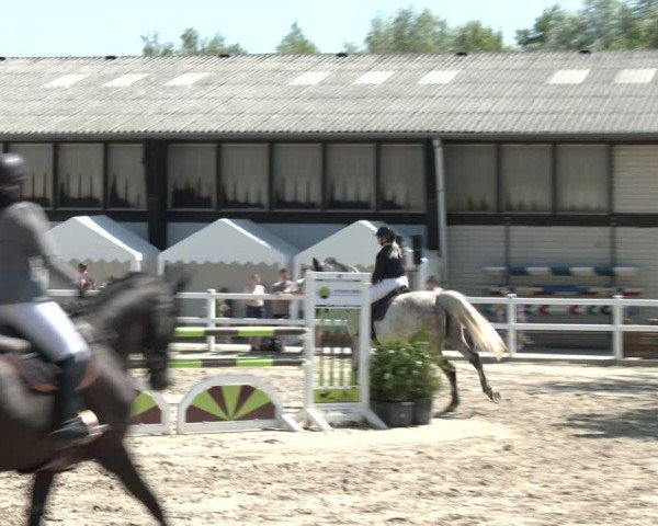 Reitturnier Dortmund-Somborn 2025