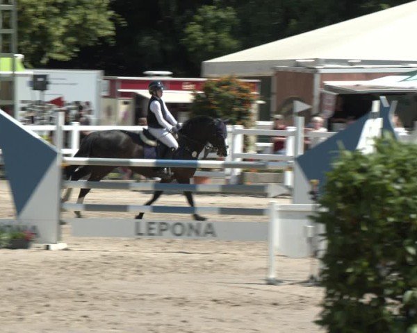 Reitturnier Dortmund-Somborn 2025