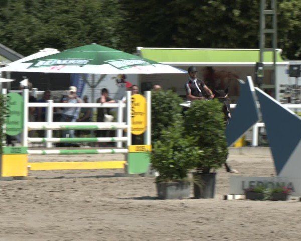 Reitturnier Dortmund-Somborn 2025