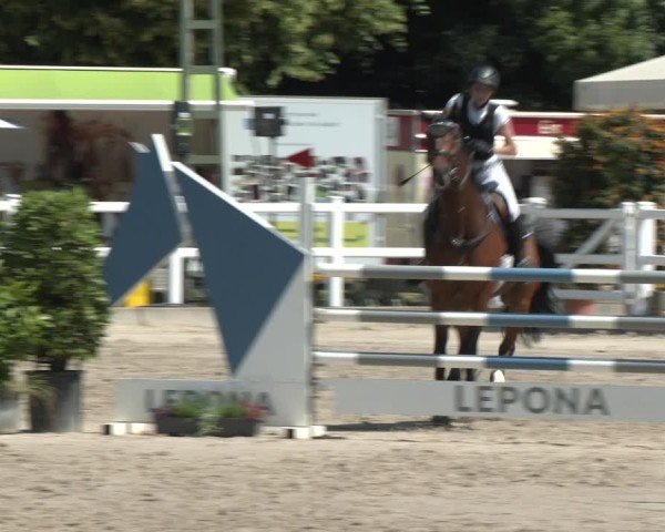 Reitturnier Dortmund-Somborn 2025