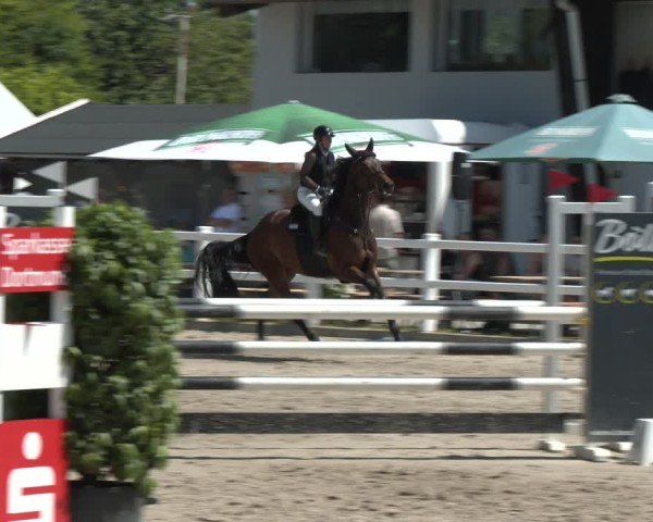 Reitturnier Dortmund-Somborn 2025