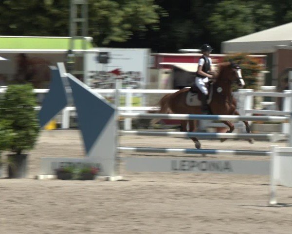 Reitturnier Dortmund-Somborn 2025