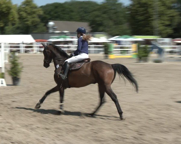 Reitturnier Dortmund-Somborn 2025